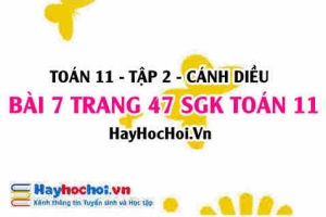 Bài 7 trang 47 Toán 11 tập 2 Cánh Diều